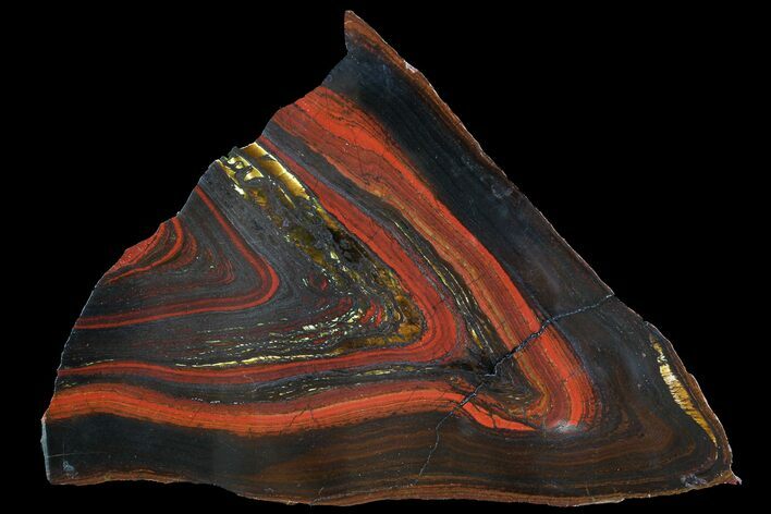 Polished Tiger Iron Stromatolite - ( Billion Years) #92979